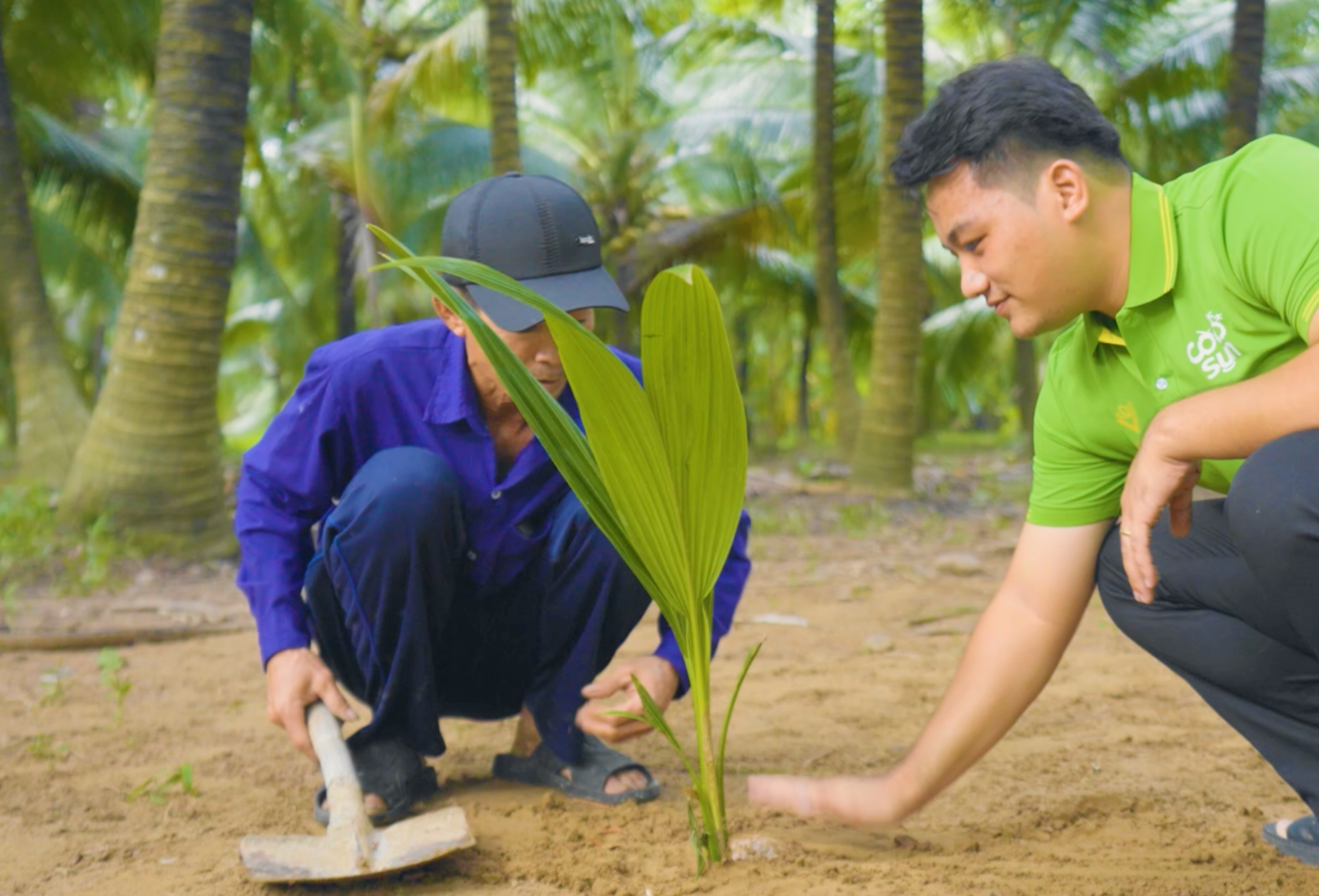 VietSun Holdings Desiccated coconut