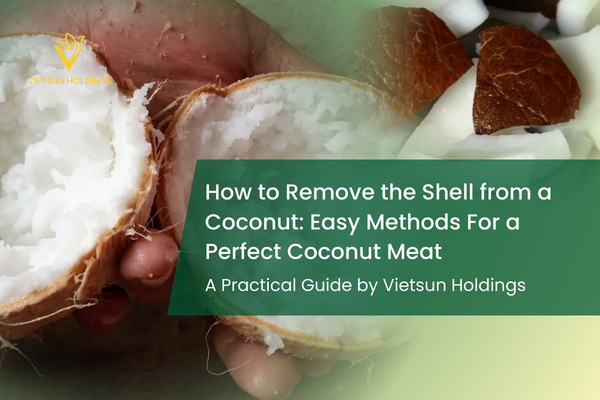 How to Remove the Shell from a Coconut: Easy Methods to Get Perfect Coconut Meat