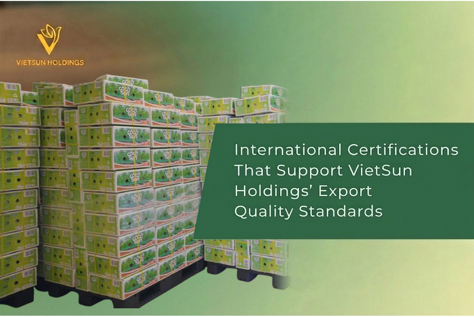 International Certifications Supporting VietSun Holdings’ Export Quality Standards