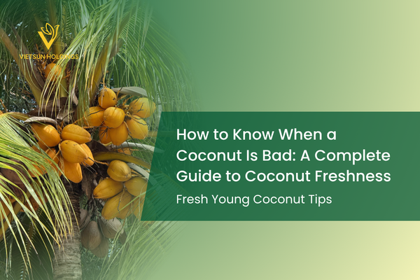 How to Know When a Coconut Is Bad: A Complete Guide to Coconut Freshness