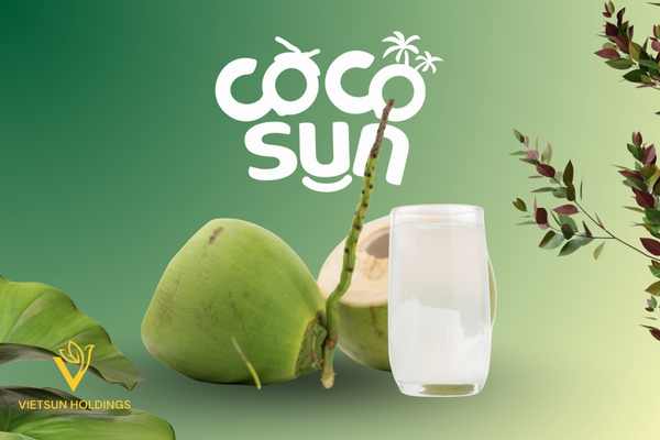 Certifications That Matter: HACCP, ISO, and Organic for Coconut Exports