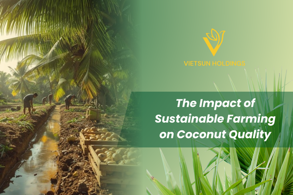 The Impact of Sustainable Farming on Coconut Quality