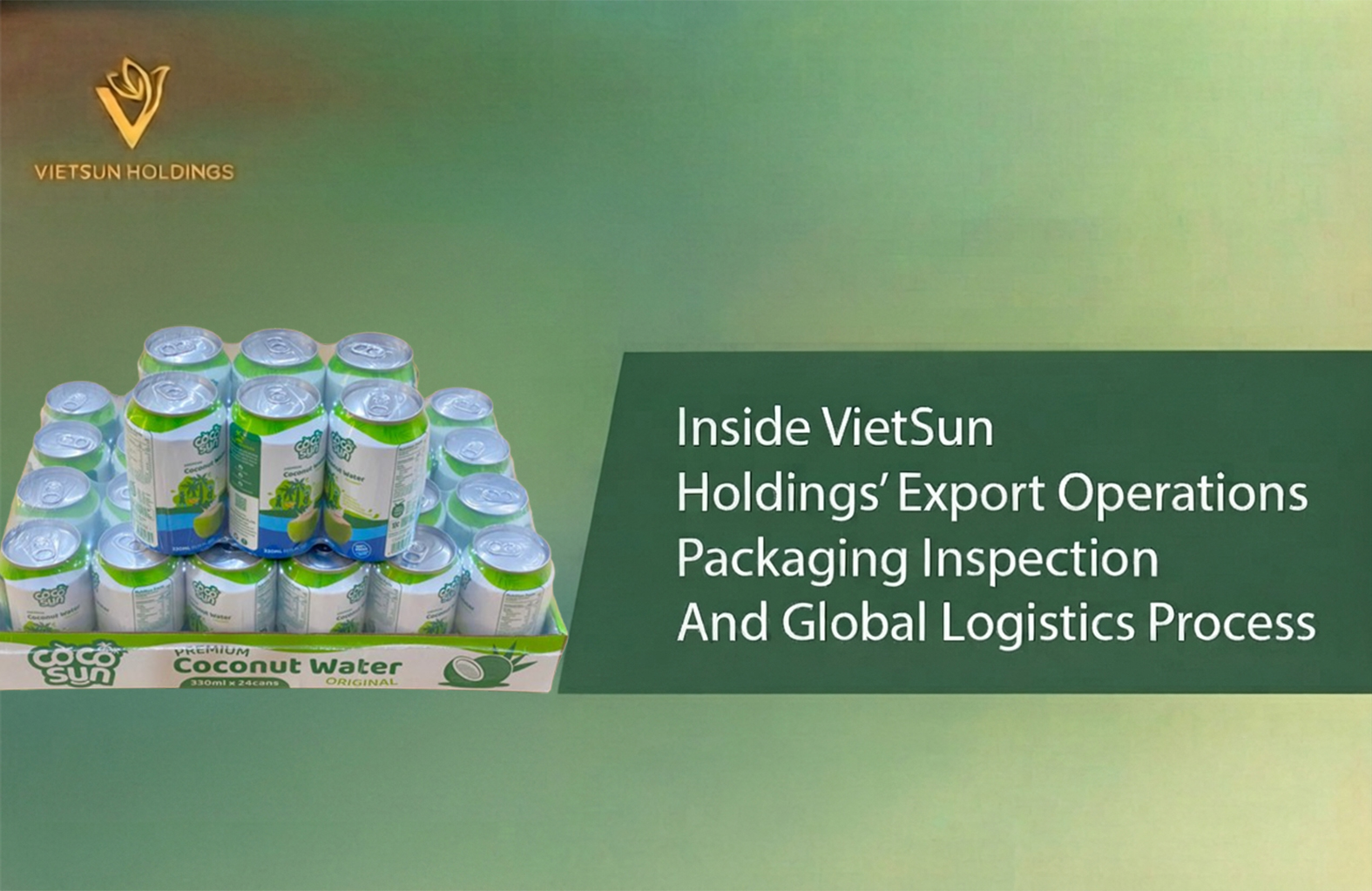Inside VietSun Holdings’ Export Operations: Packaging, Inspection, and Global Logistics Process