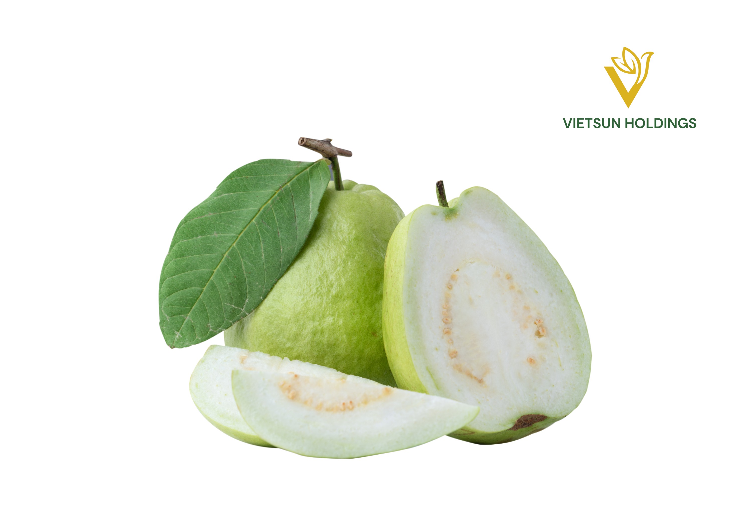 White Flesh Guava