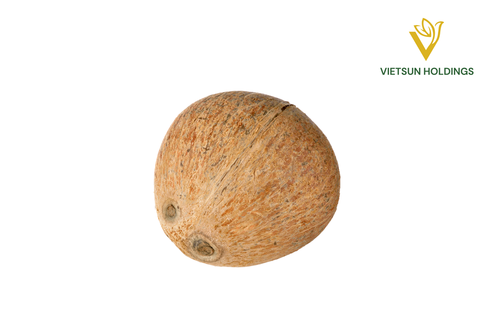 Fully Husked Coconut