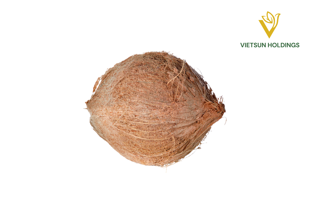 Semi-husked Coconut