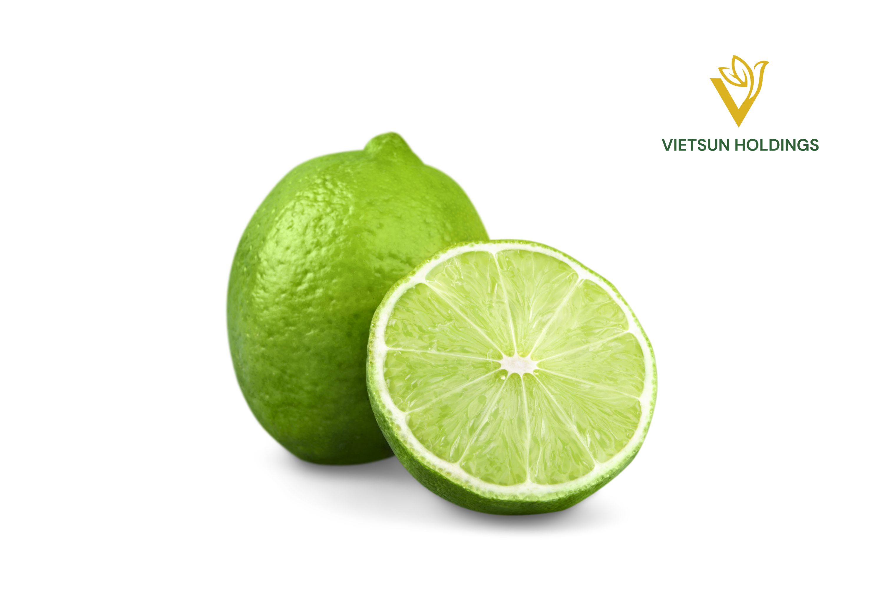 Fresh Seedless Lime