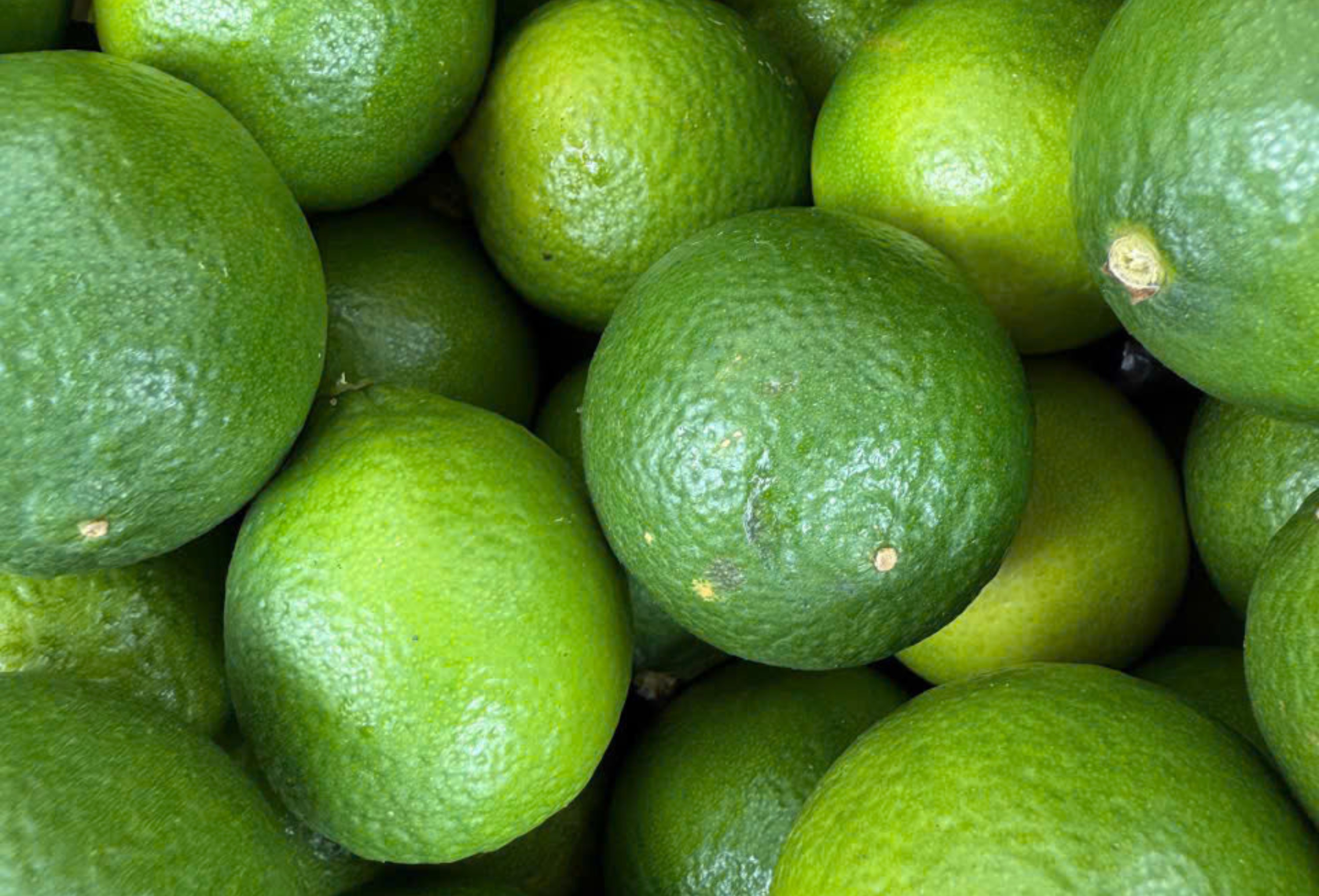 Fresh Seedless Lime