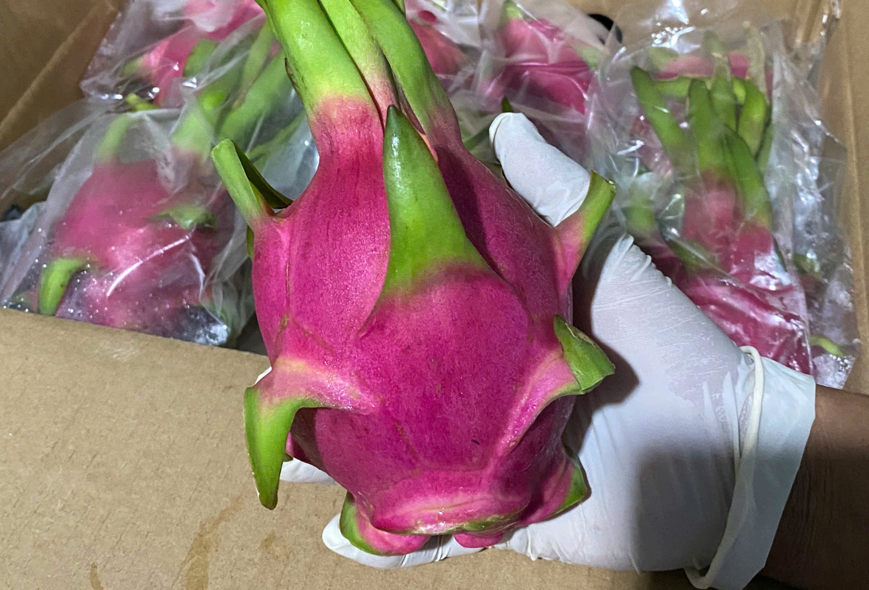 Dragon Fruit