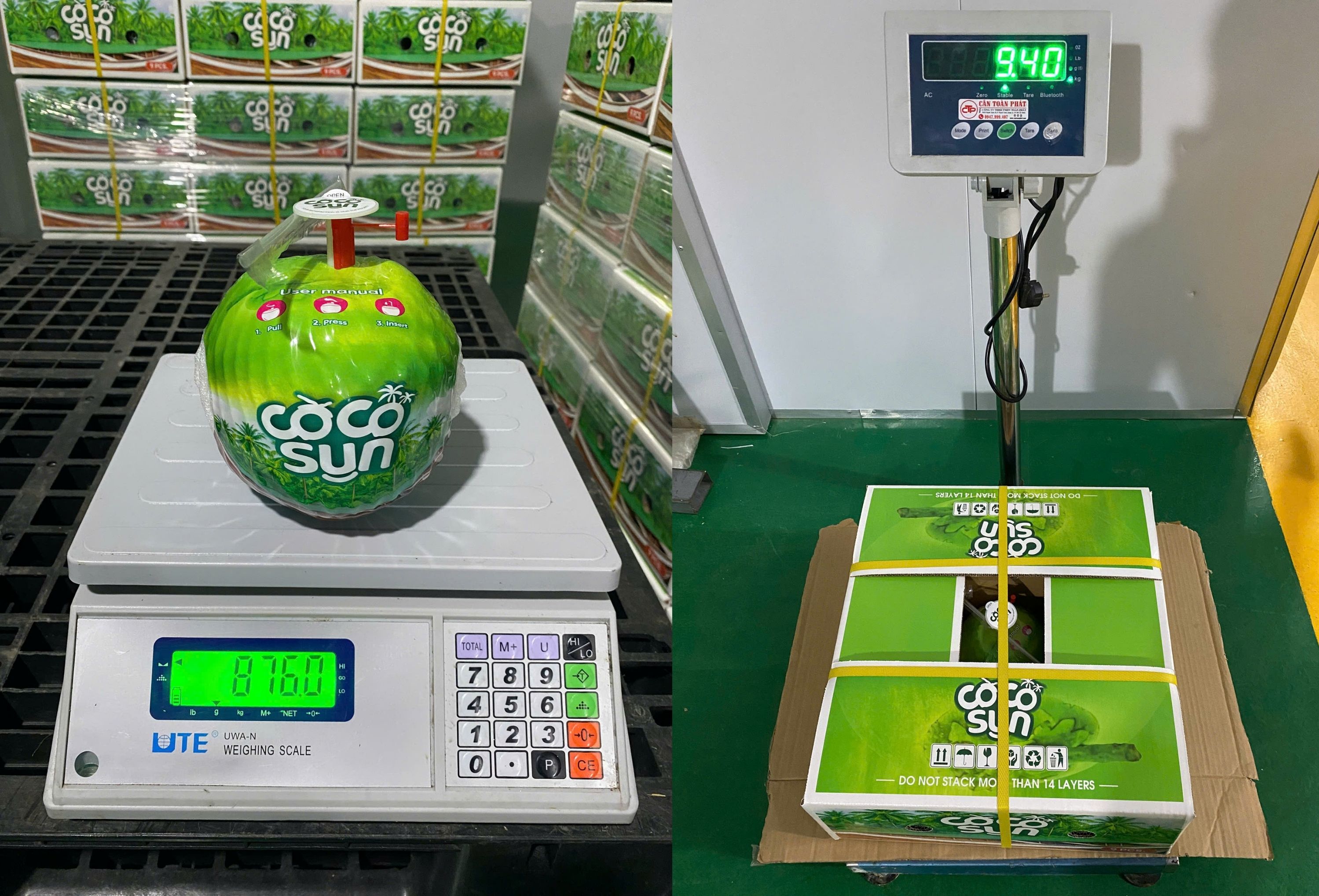 CocoSun Easy Open Coconut (Thumb Coconut)