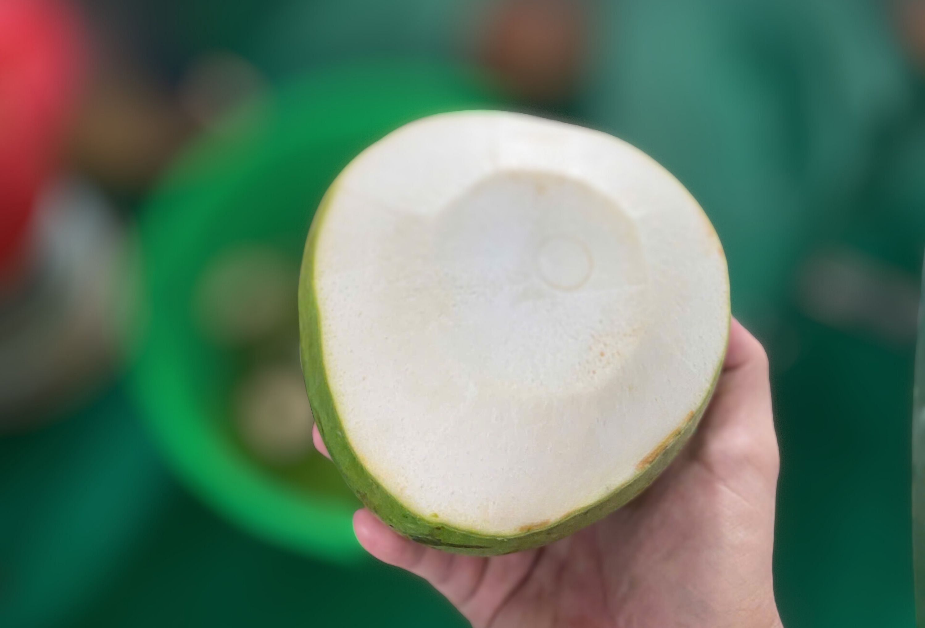 Green Trimmed Coconut
