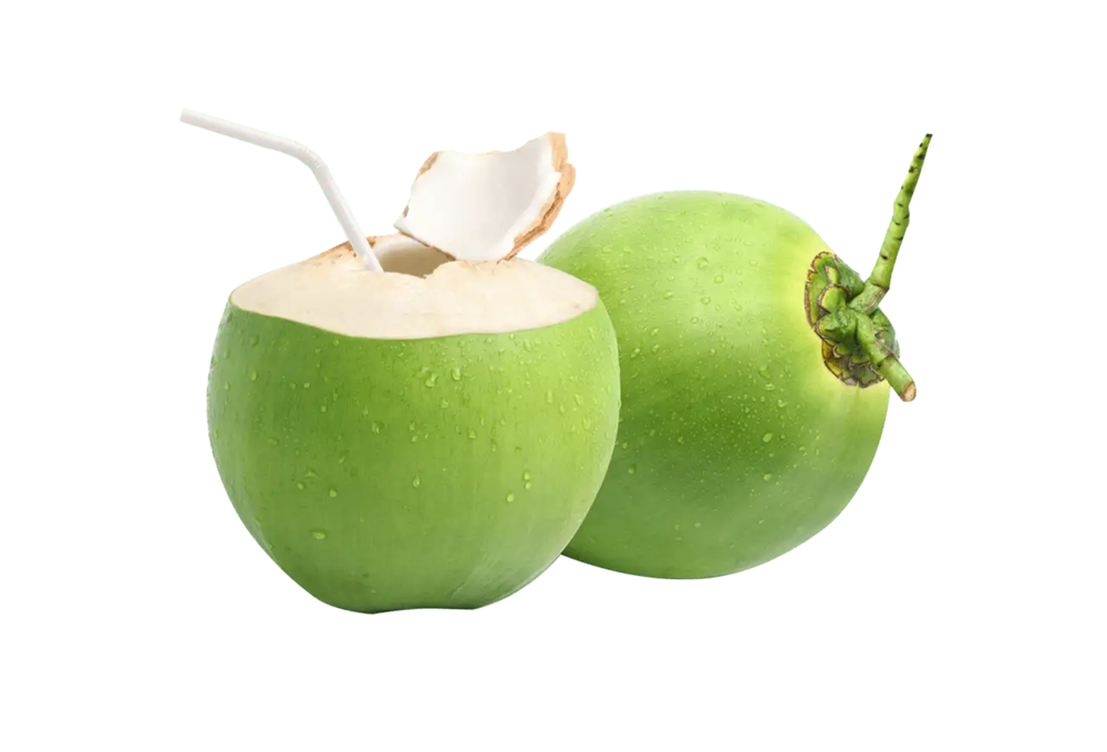 Green Trimmed Coconut