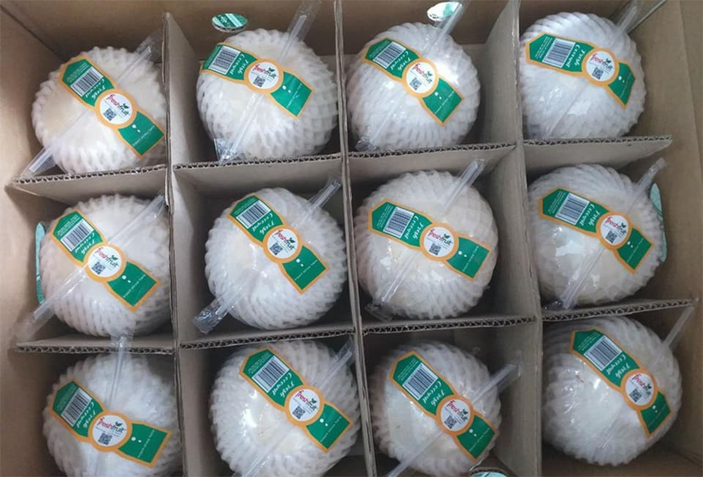 Diamond Coconut with staw