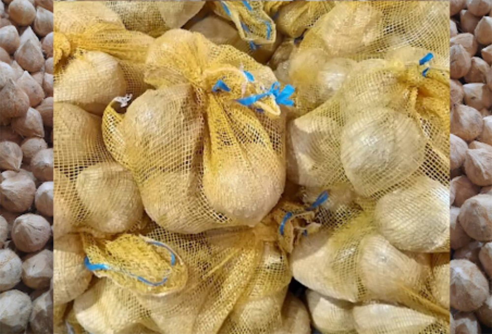 Fully Husked Coconut