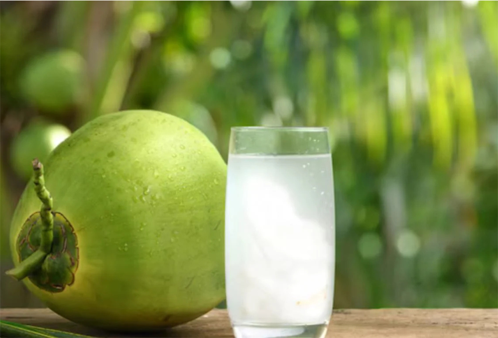Green Trimmed Coconut