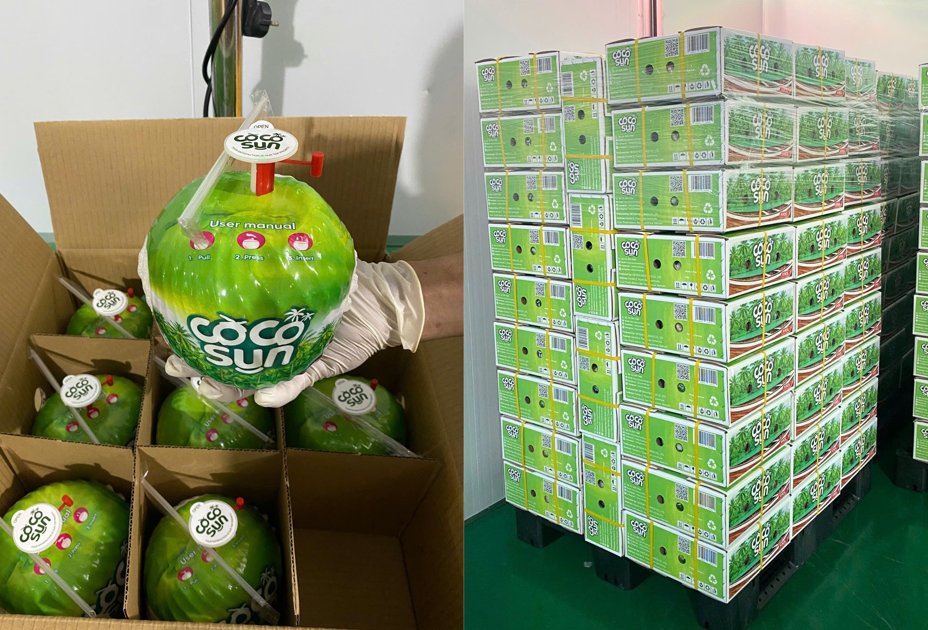 CocoSun Easy Open Coconut (Thumb Coconut)