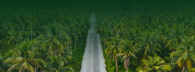 VIETSUN HOLDINGS