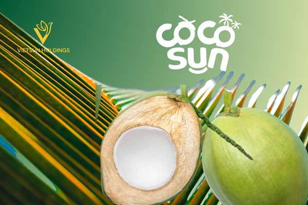 desiccated coconut 