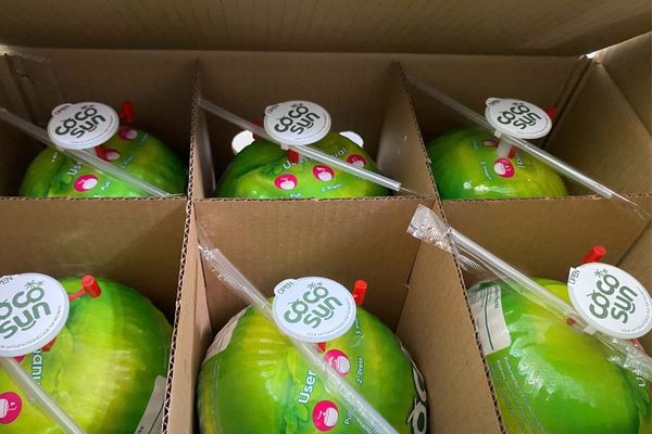 ready to drink coconut cocothumb