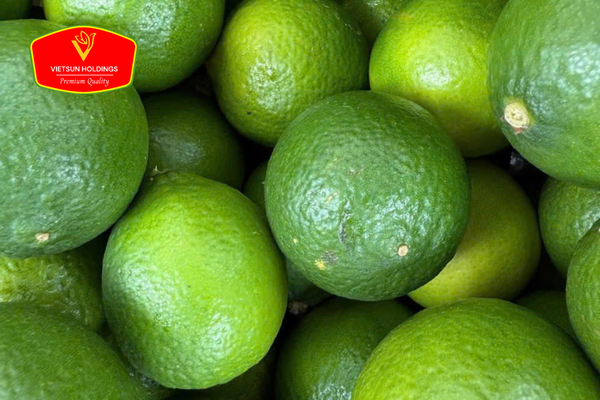 fresh lime packaging vietnam