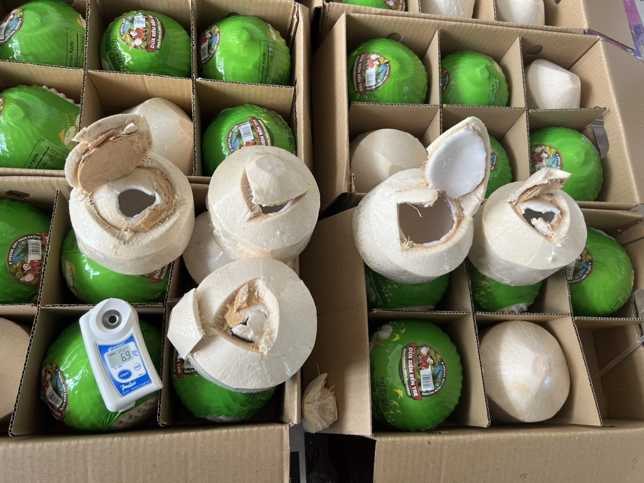 Easy Open Coconut with Push Button