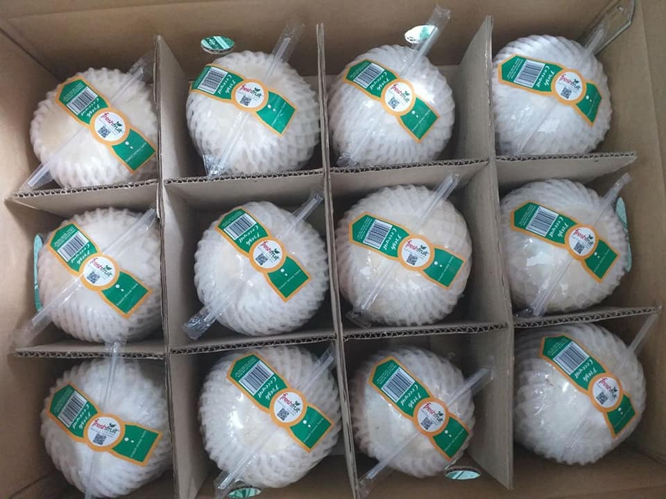 Diamond Fresh Young Coconut with straw, showing liquid inside