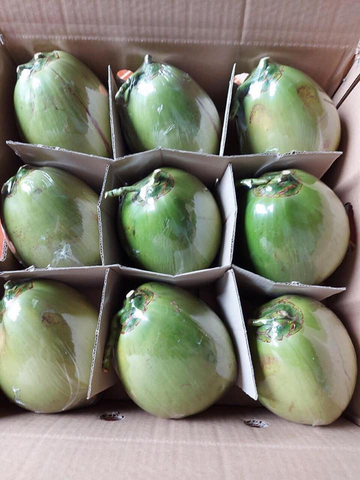 Freshly trimmed young coconuts ready to be enjoyed