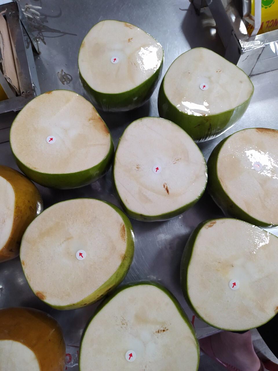 Multiple green trimmed coconuts stacked